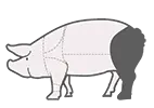 pig back leg icon